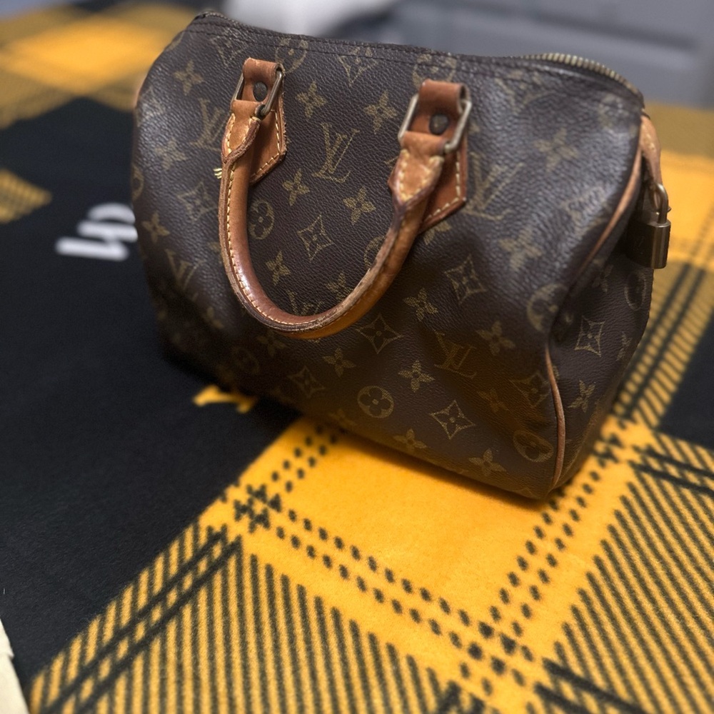 Louis Vuitton Brown and Tan Mini Bag